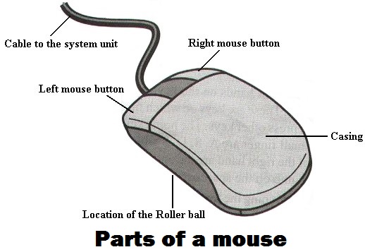 Pointing device outlet in computer